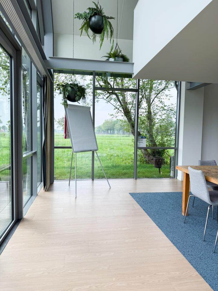 pvc loose lay